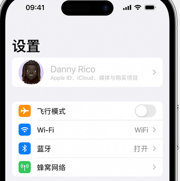 峨眉山appleID维修服务iPhone设置中Apple ID显示为灰色无法使用 