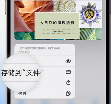 峨眉山apple维修中心分享iPhone文件应用中存储和找到下载文件