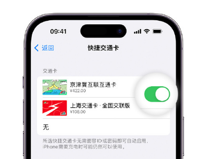 峨眉山apple维修点分享iPhone上更换Apple Pay快捷交通卡手绘卡面 