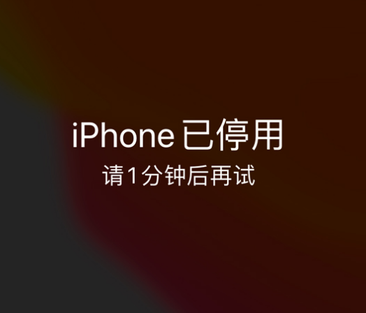 峨眉山苹果手机维修分享:iPhone 显示“不可用”或“已停用”怎么办？还能保留数据吗？ 