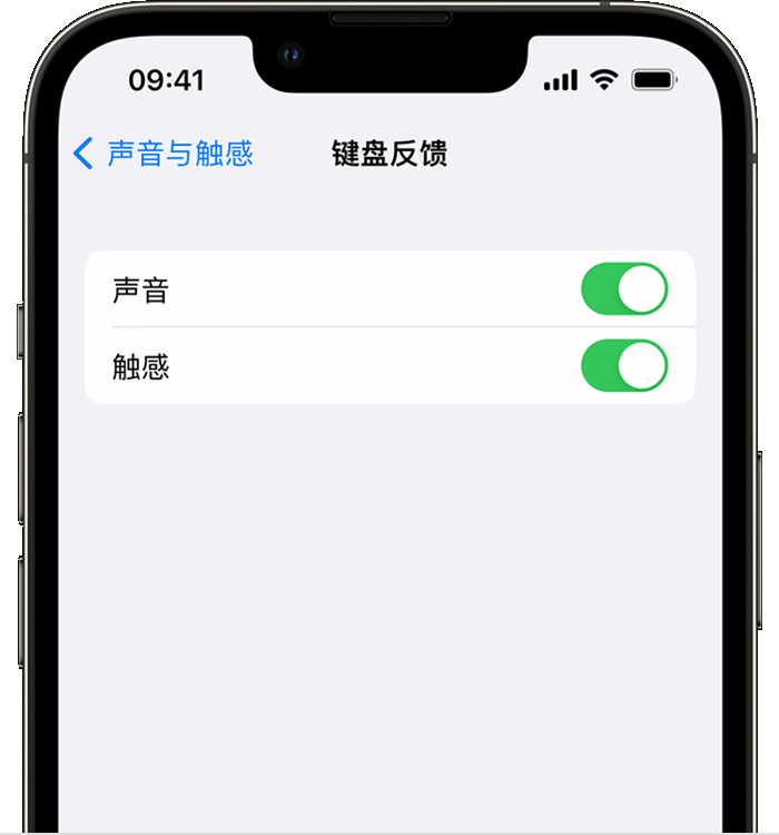 峨眉山苹果14维修店分享如何在 iPhone 14 机型中使用触感键盘 