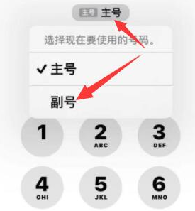 峨眉山苹果14维修店分享iPhone 14 Pro Max使用副卡打电话的方法 