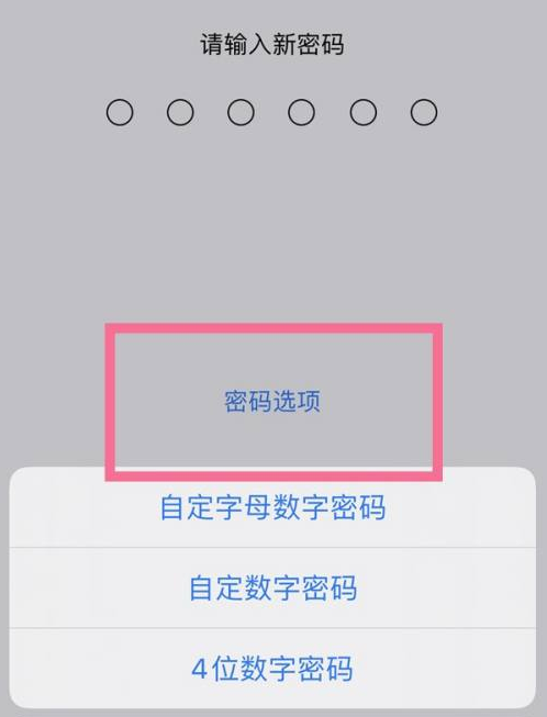 峨眉山苹果14维修分享iPhone 14plus设置密码的方法 