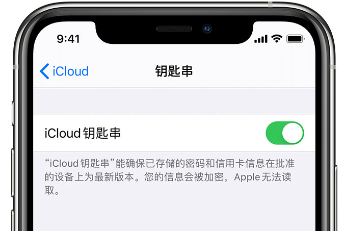 峨眉山苹果手机维修分享在 iPhone 上开启 iCloud 钥匙串之后会储存哪些信息 